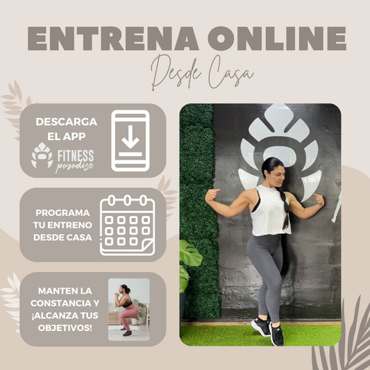 Entrenamiento Online en Español